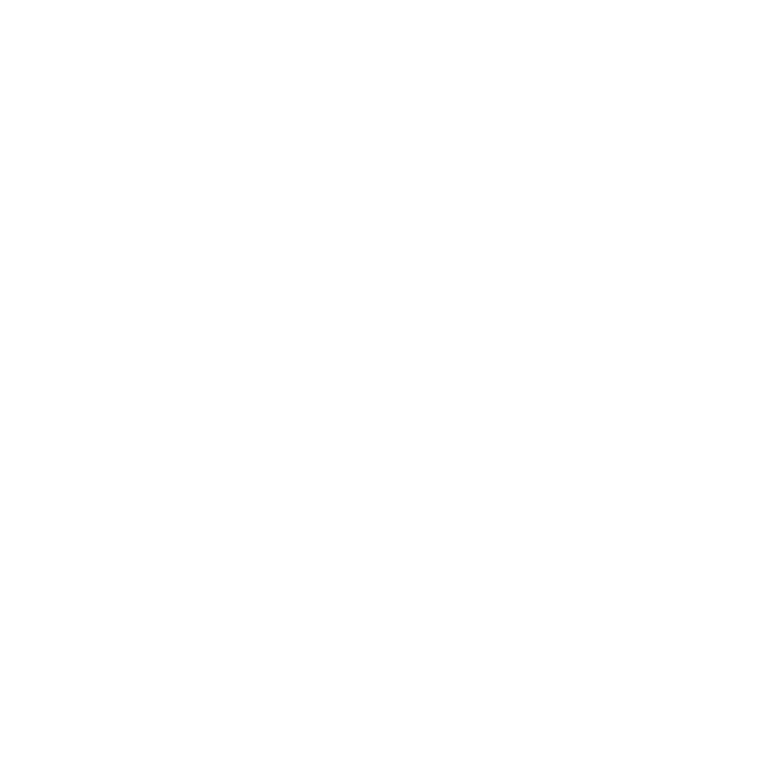 truebelieva logo white